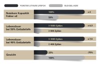 FORSTER 300Ah 12,8V Lithium LiFePO4 Premium Μπαταρία | 400A-BMS-2.1 | 3840Wh | IP67