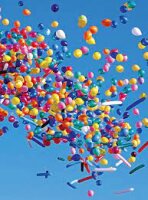 Test Balloon SmartShunt